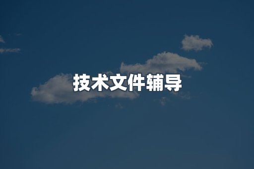 技术文件辅导